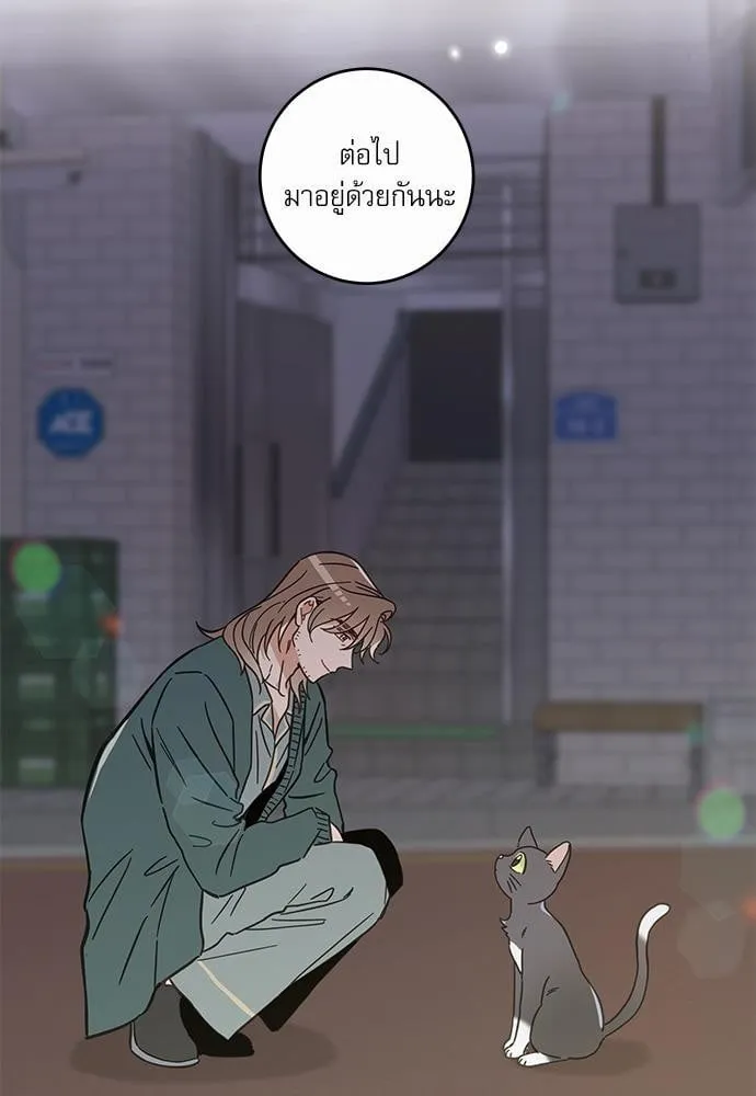 My One and Only Cat ตอนที่ 4865