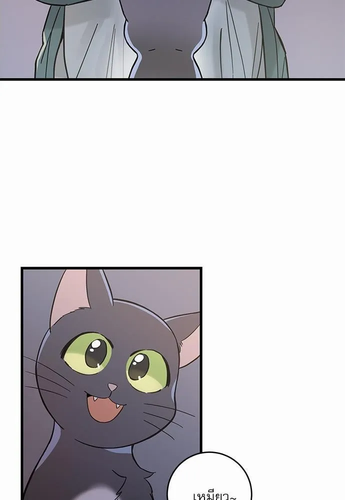 My One and Only Cat ตอนที่ 4867
