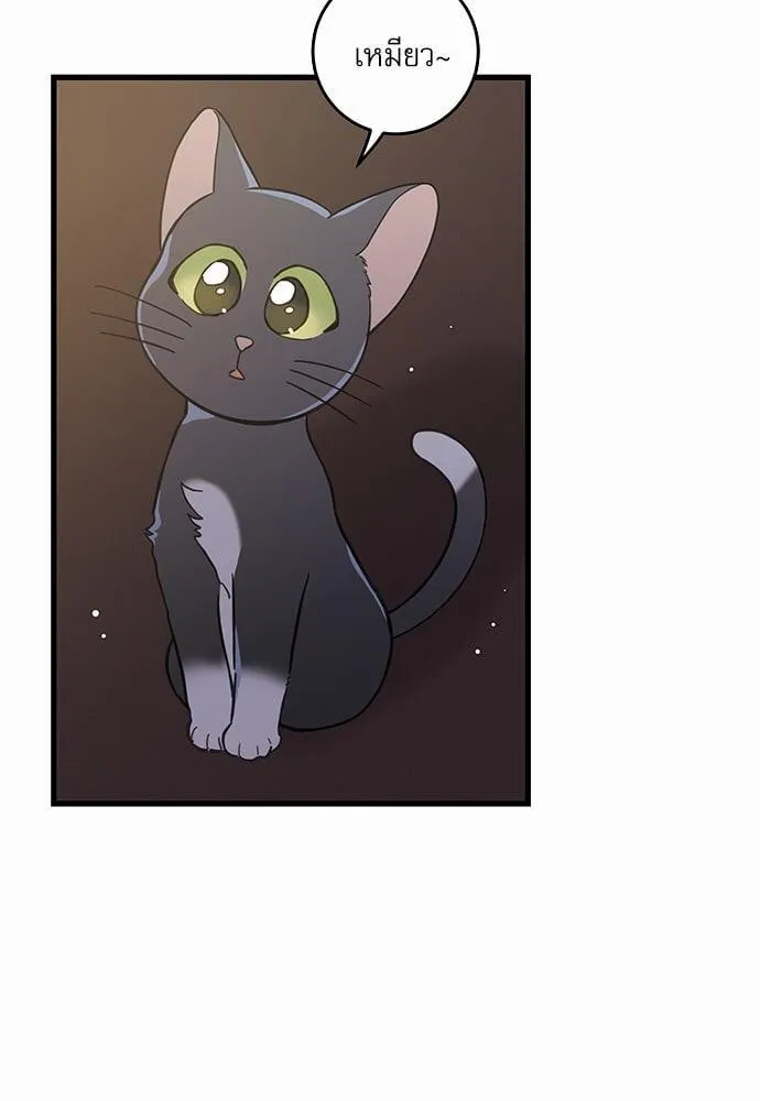 My One and Only Cat ตอนที่ 4873