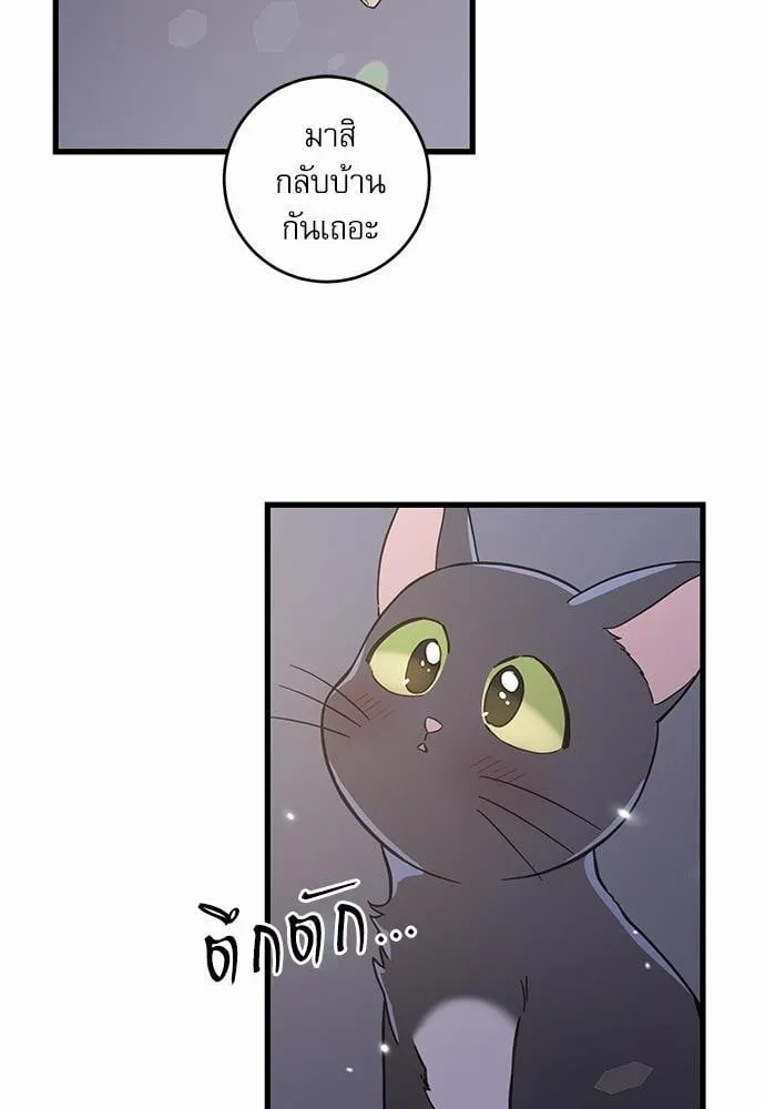 My One and Only Cat ตอนที่ 4902 My One and Only Cat ตอนที่ 4902