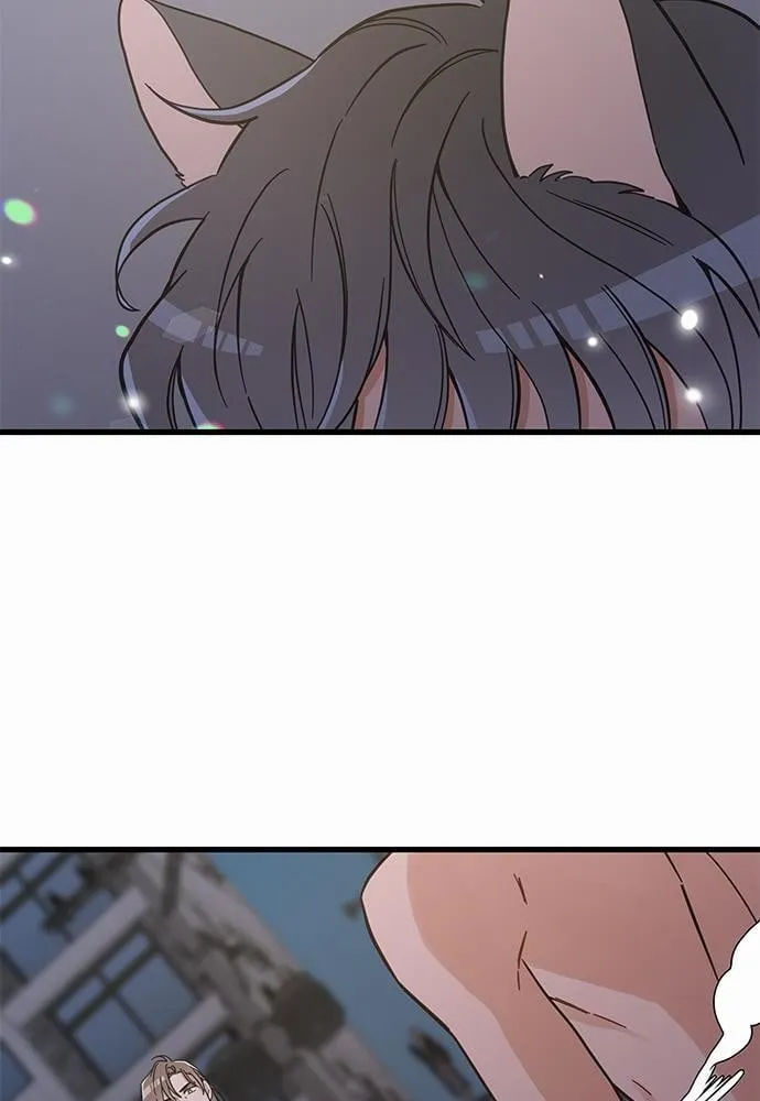 My One and Only Cat ตอนที่ 4905 My One and Only Cat ตอนที่ 4905