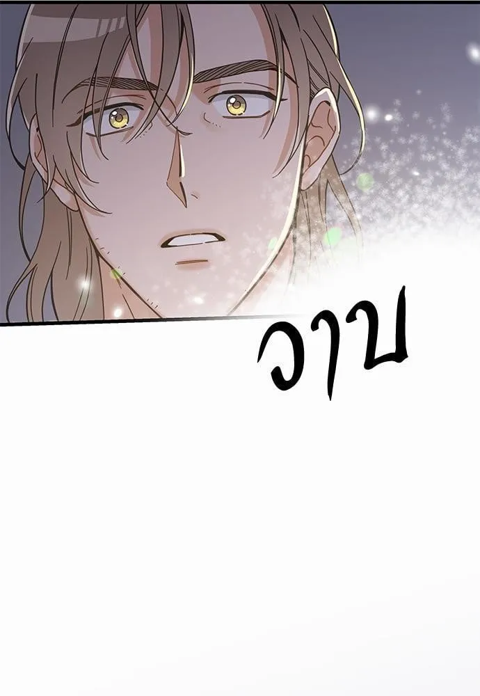 My One and Only Cat ตอนที่ 4907 My One and Only Cat ตอนที่ 4907