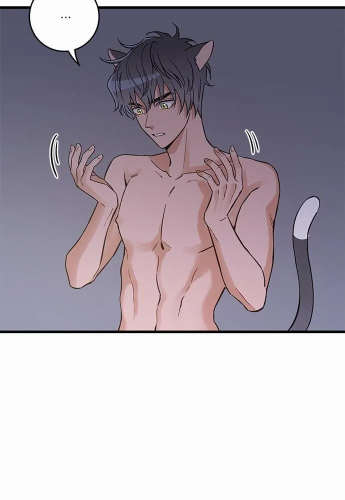 My One and Only Cat ตอนที่ 4913 My One and Only Cat ตอนที่ 4913