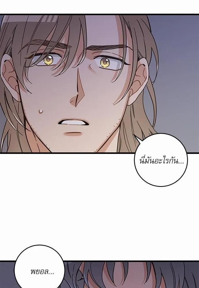 My One and Only Cat ตอนที่ 4914 My One and Only Cat ตอนที่ 4914