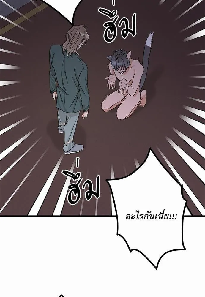 My One and Only Cat ตอนที่ 4916 My One and Only Cat ตอนที่ 4916