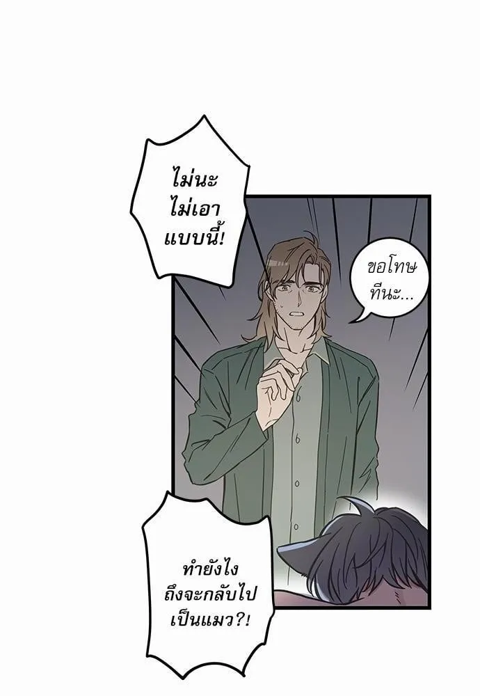 My One and Only Cat ตอนที่ 4918 My One and Only Cat ตอนที่ 4918