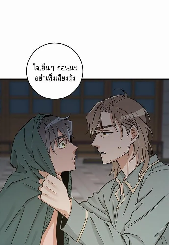 My One and Only Cat ตอนที่ 4920 My One and Only Cat ตอนที่ 4920