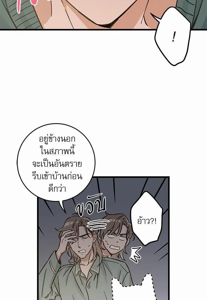 My One and Only Cat ตอนที่ 4922 My One and Only Cat ตอนที่ 4922
