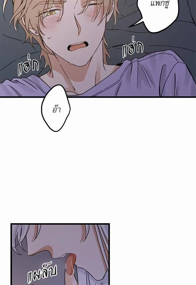 My One and Only Cat ตอนที่ 4929 My One and Only Cat ตอนที่ 4929