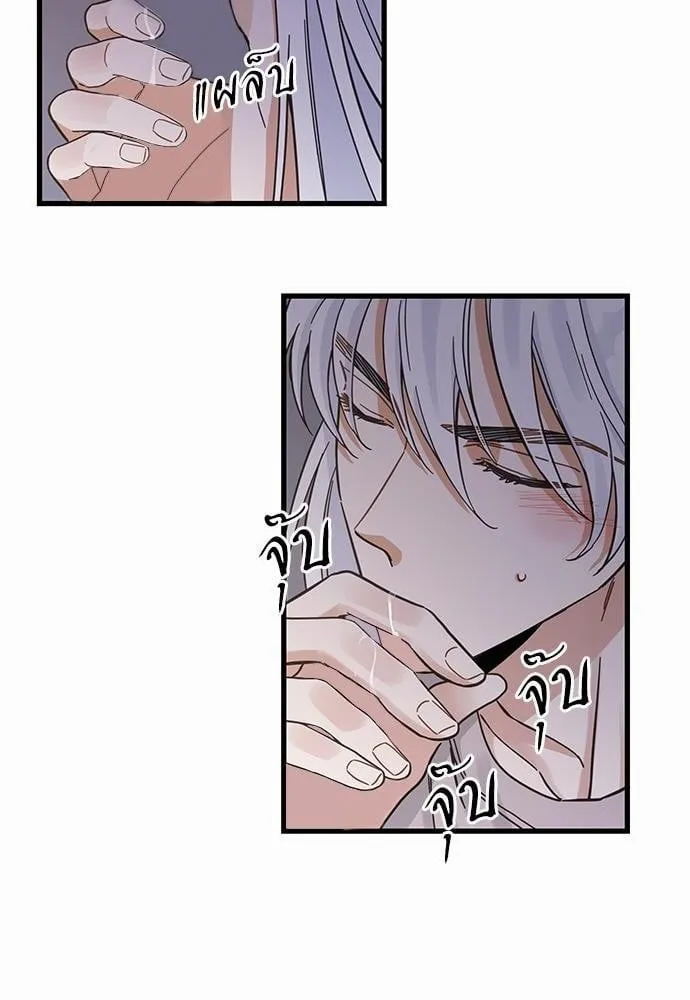 My One and Only Cat ตอนที่ 4930 My One and Only Cat ตอนที่ 4930