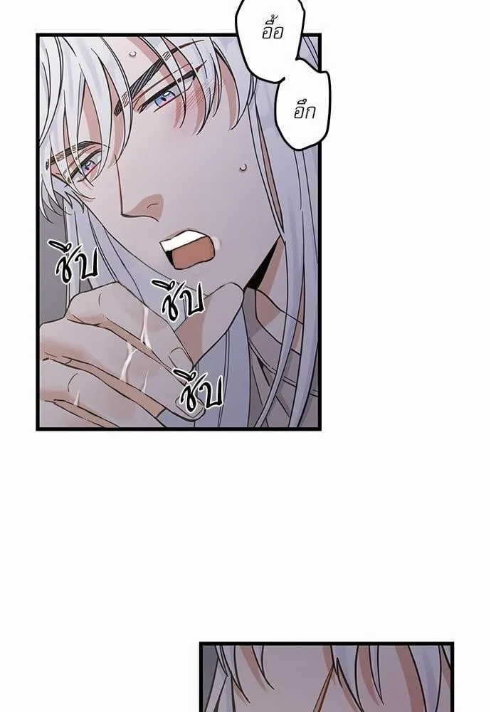 My One and Only Cat ตอนที่ 4934 My One and Only Cat ตอนที่ 4934