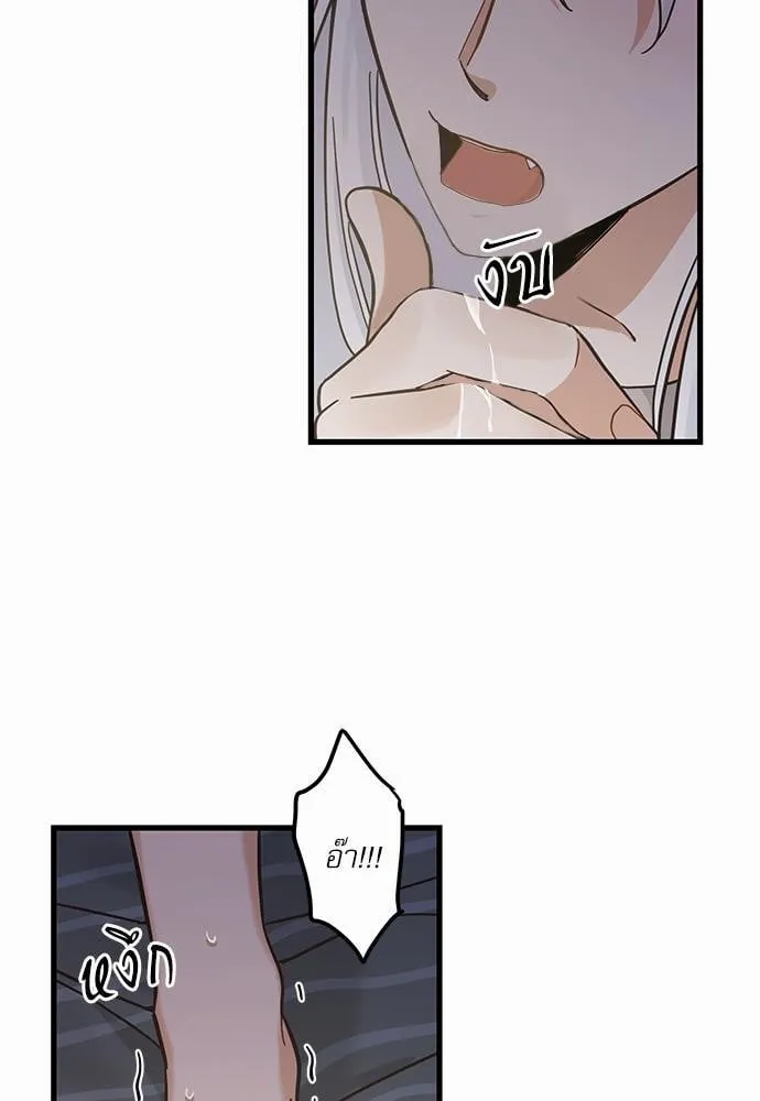 My One and Only Cat ตอนที่ 4935 My One and Only Cat ตอนที่ 4935