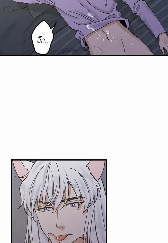 My One and Only Cat ตอนที่ 4937 My One and Only Cat ตอนที่ 4937