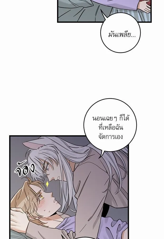 My One and Only Cat ตอนที่ 4939 My One and Only Cat ตอนที่ 4939