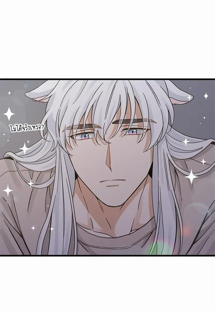 My One and Only Cat ตอนที่ 4942 My One and Only Cat ตอนที่ 4942