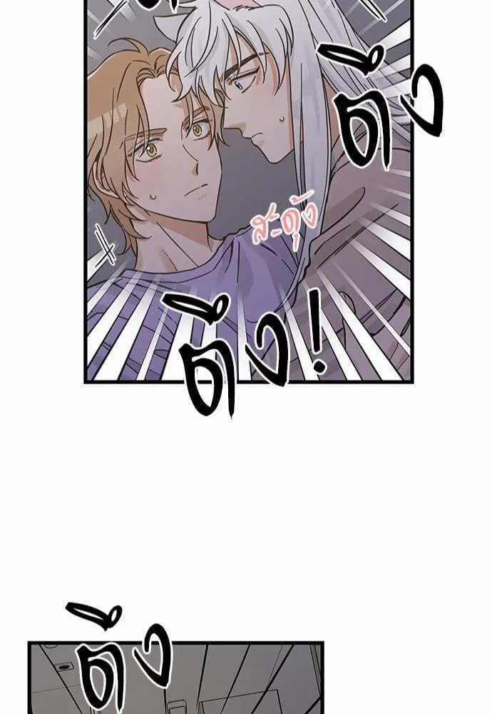 My One and Only Cat ตอนที่ 4946 My One and Only Cat ตอนที่ 4946