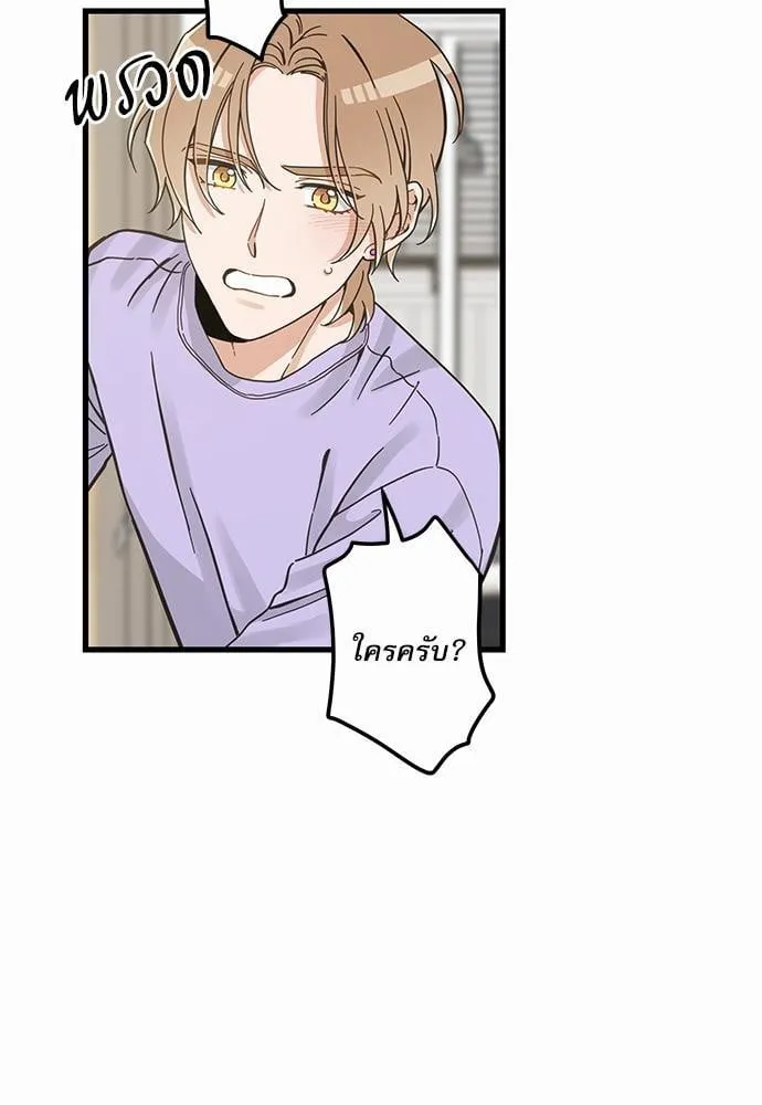 My One and Only Cat ตอนที่ 4949 My One and Only Cat ตอนที่ 4949