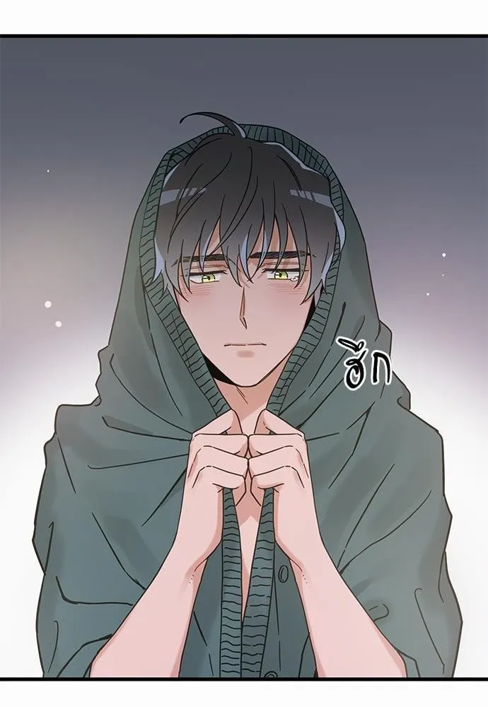 My One and Only Cat ตอนที่ 4951 My One and Only Cat ตอนที่ 4951