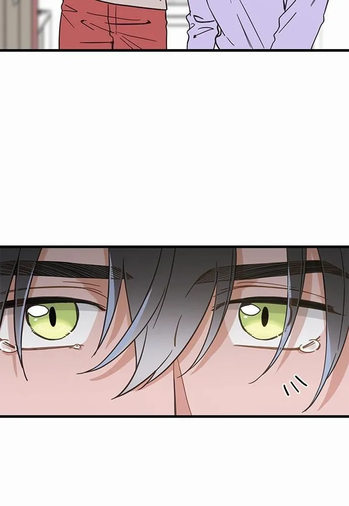 My One and Only Cat ตอนที่ 4953 My One and Only Cat ตอนที่ 4953