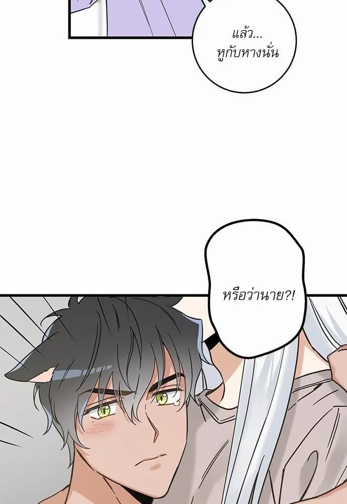 My One and Only Cat ตอนที่ 4956 My One and Only Cat ตอนที่ 4956