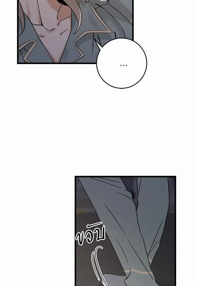 My One and Only Cat ตอนที่ 4964 My One and Only Cat ตอนที่ 4964