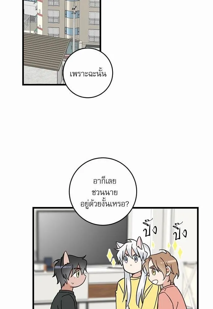 My One and Only Cat ตอนที่ 5008 My One and Only Cat ตอนที่ 5008