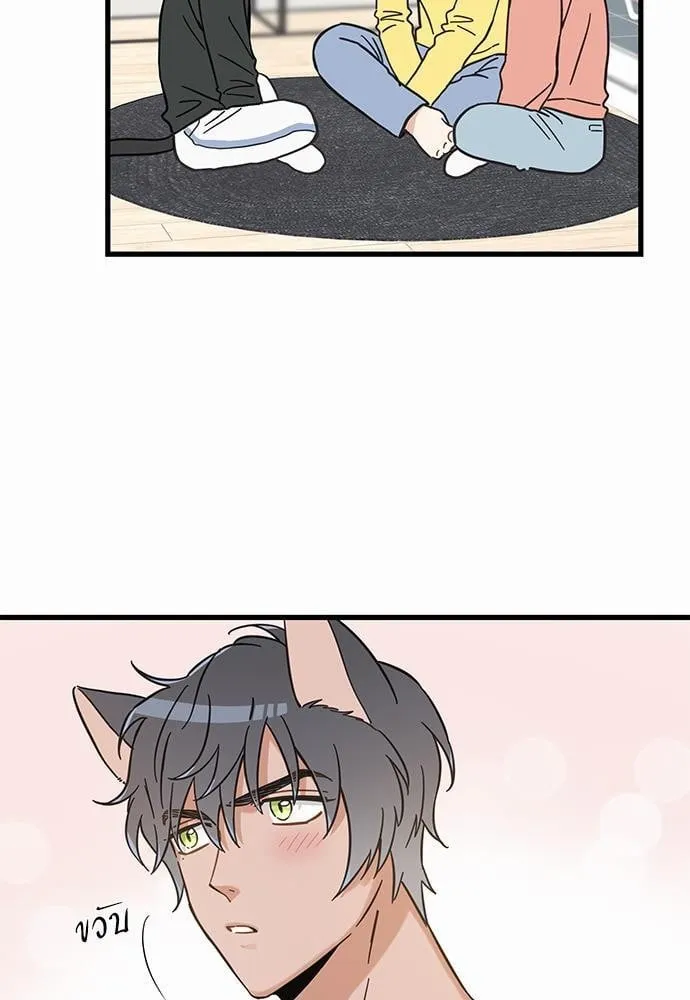 My One and Only Cat ตอนที่ 5009 My One and Only Cat ตอนที่ 5009