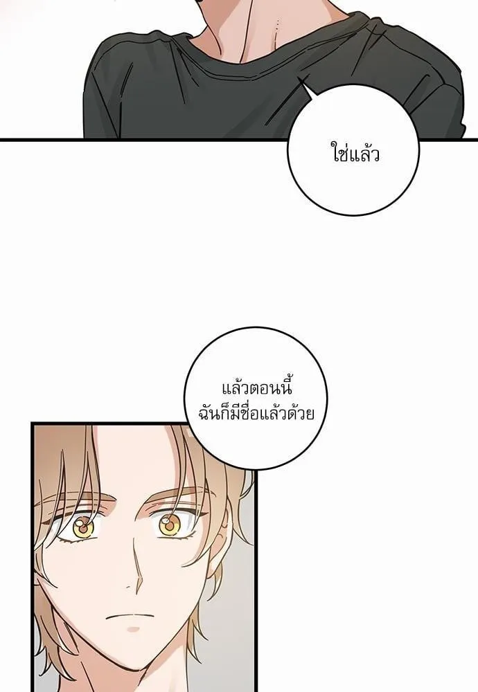 My One and Only Cat ตอนที่ 5010 My One and Only Cat ตอนที่ 5010