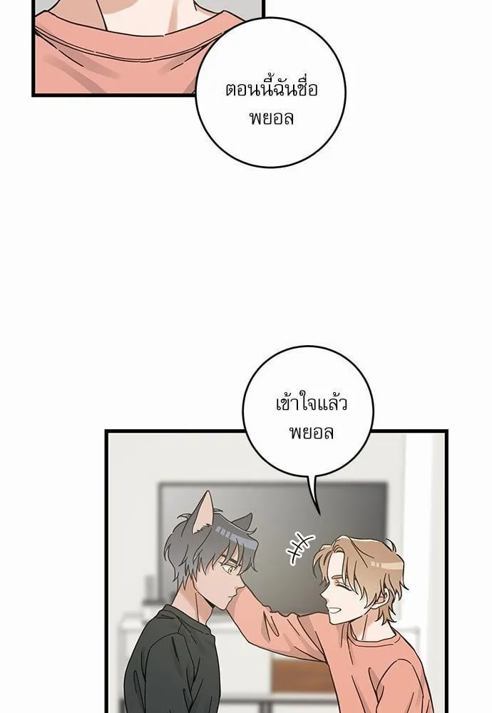 My One and Only Cat ตอนที่ 5011 My One and Only Cat ตอนที่ 5011