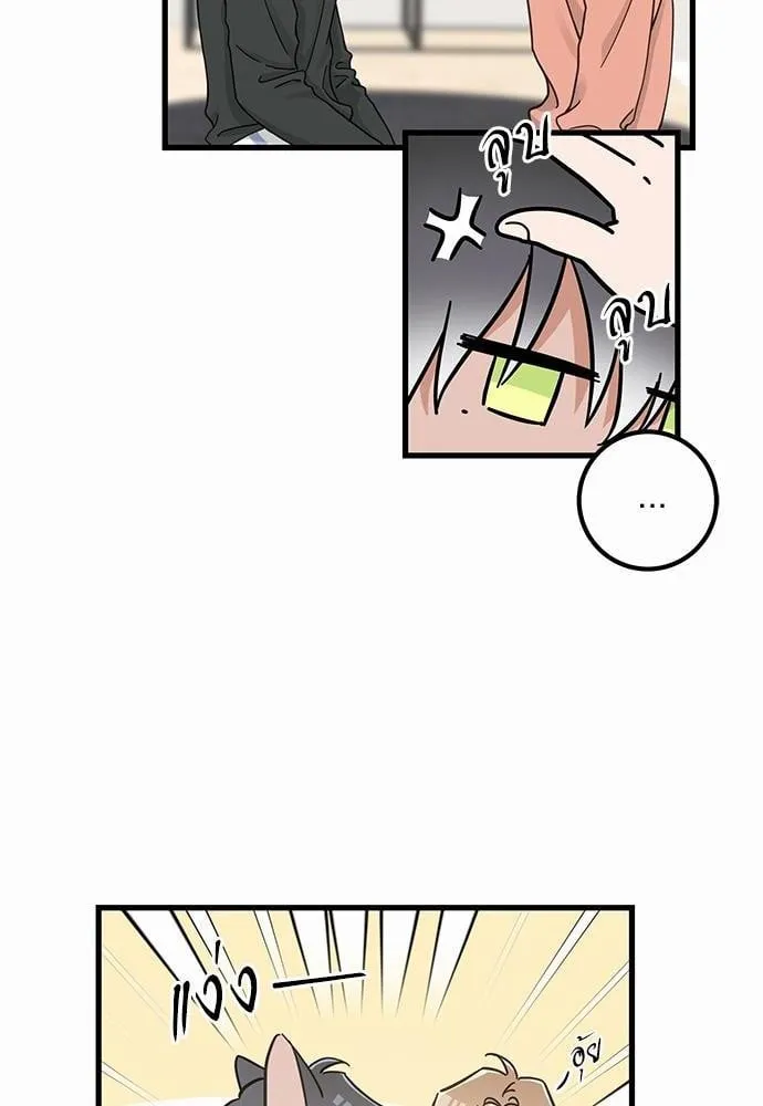 My One and Only Cat ตอนที่ 5012 My One and Only Cat ตอนที่ 5012