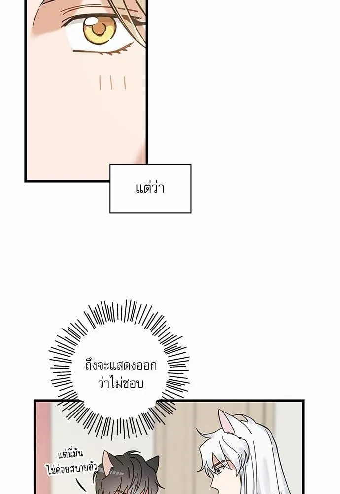 My One and Only Cat ตอนที่ 5014 My One and Only Cat ตอนที่ 5014