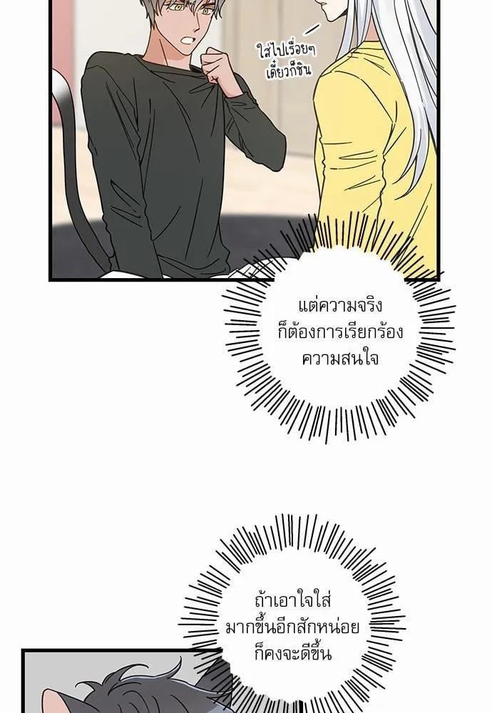 My One and Only Cat ตอนที่ 5015 My One and Only Cat ตอนที่ 5015