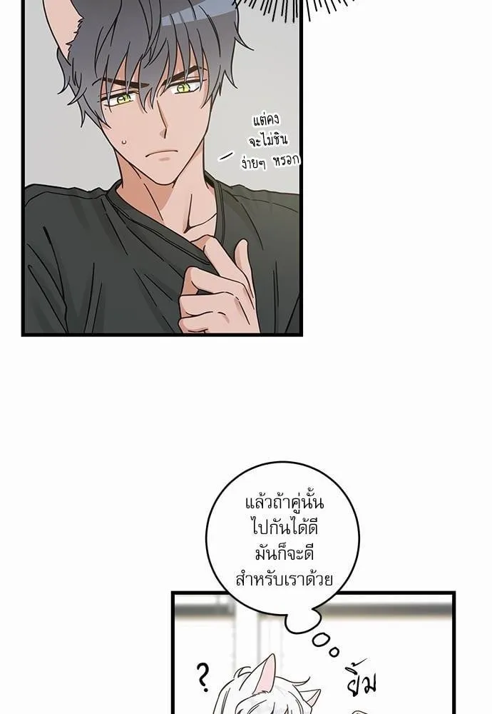 My One and Only Cat ตอนที่ 5016 My One and Only Cat ตอนที่ 5016