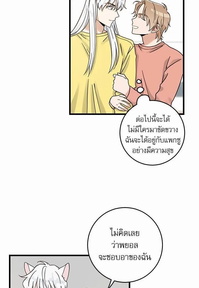 My One and Only Cat ตอนที่ 5017 My One and Only Cat ตอนที่ 5017