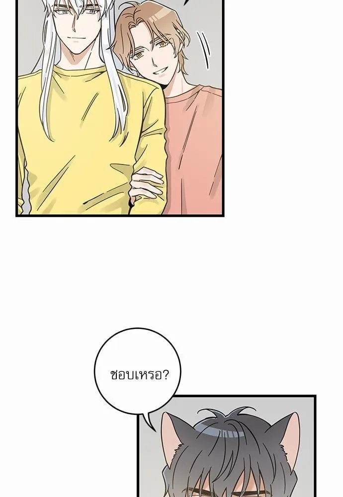 My One and Only Cat ตอนที่ 5018 My One and Only Cat ตอนที่ 5018