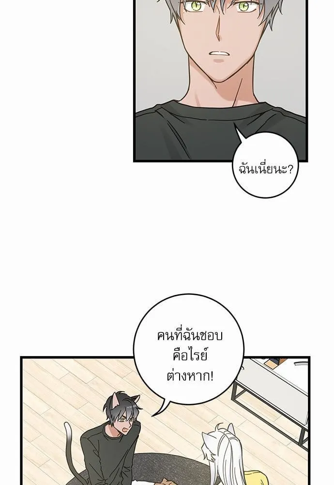 My One and Only Cat ตอนที่ 5019 My One and Only Cat ตอนที่ 5019