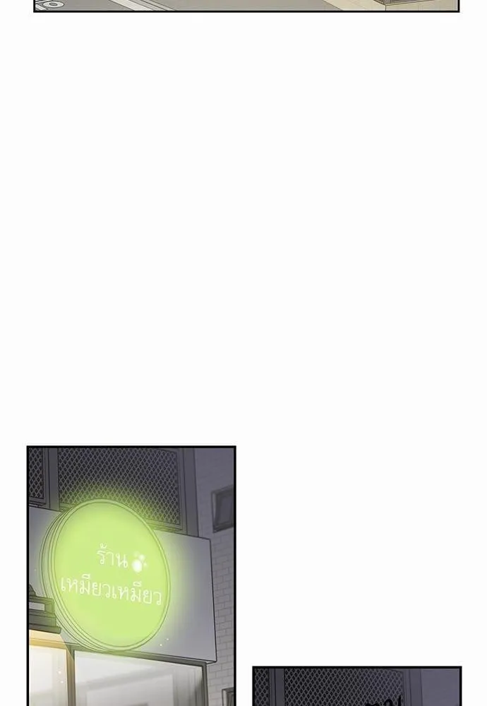 My One and Only Cat ตอนที่ 502 My One and Only Cat ตอนที่ 502