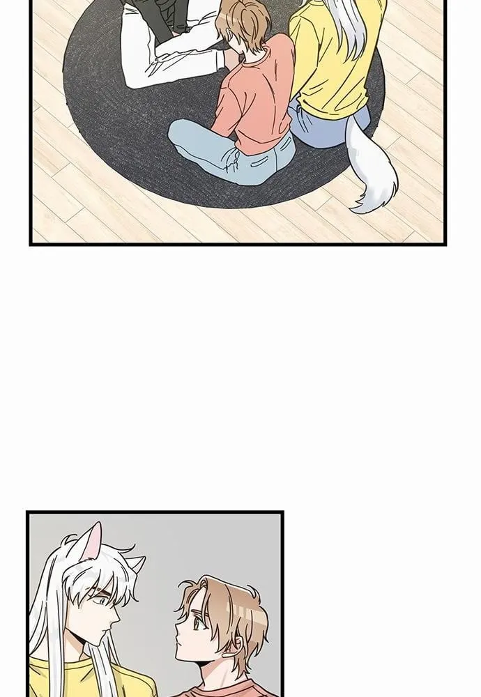 My One and Only Cat ตอนที่ 5020 My One and Only Cat ตอนที่ 5020