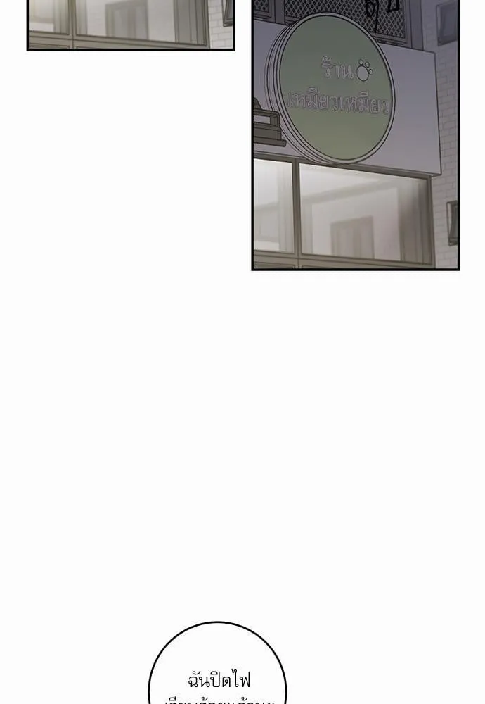 My One and Only Cat ตอนที่ 503 My One and Only Cat ตอนที่ 503