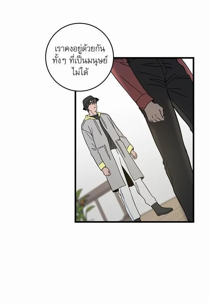 My One and Only Cat ตอนที่ 5040 My One and Only Cat ตอนที่ 5040