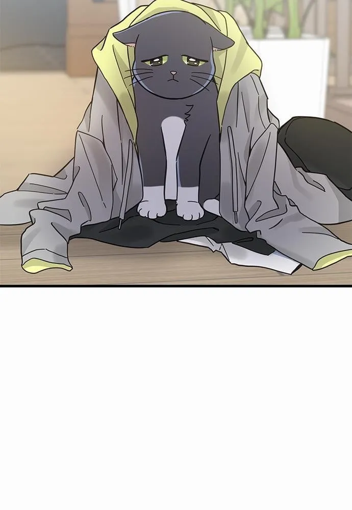 My One and Only Cat ตอนที่ 5045 My One and Only Cat ตอนที่ 5045