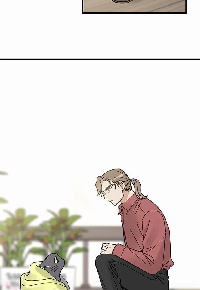 My One and Only Cat ตอนที่ 5048 My One and Only Cat ตอนที่ 5048