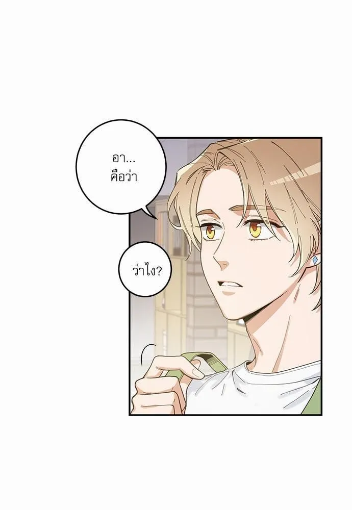 My One and Only Cat ตอนที่ 505 My One and Only Cat ตอนที่ 505