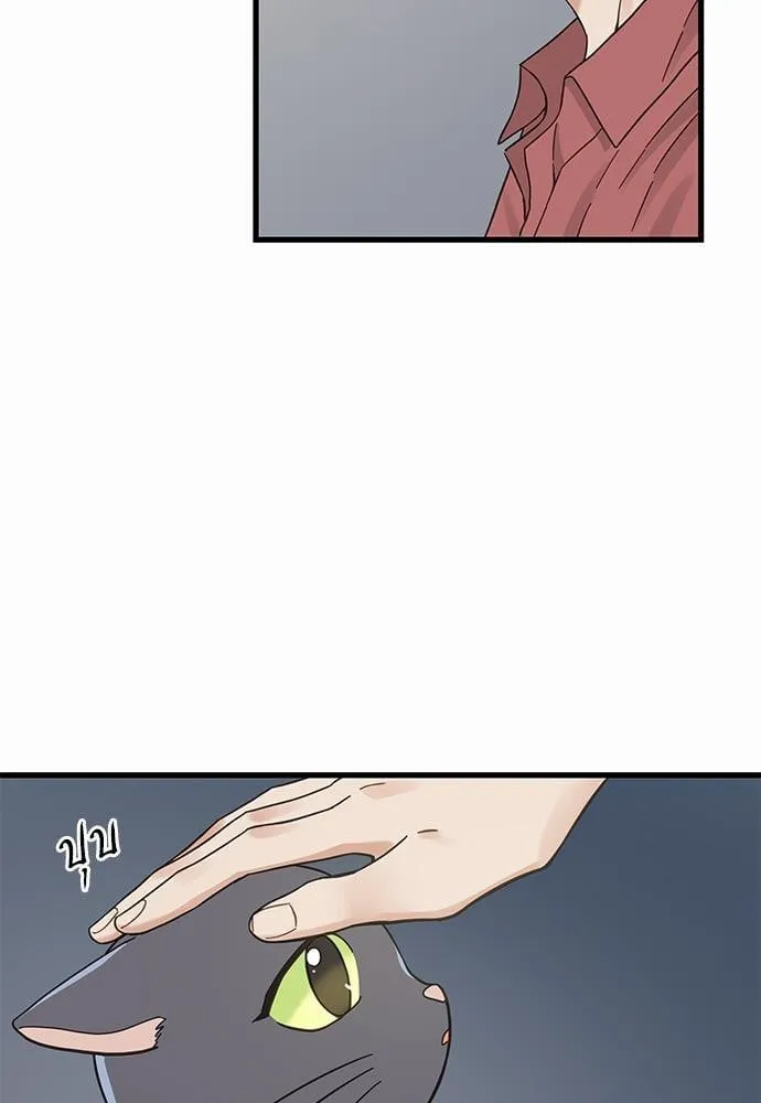 My One and Only Cat ตอนที่ 5051 My One and Only Cat ตอนที่ 5051