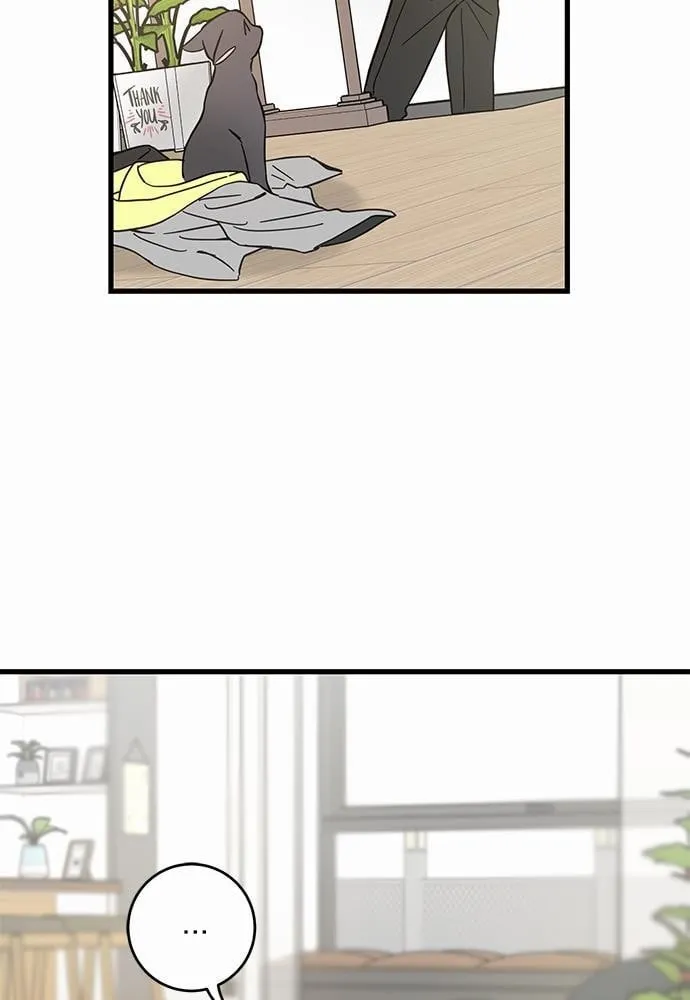 My One and Only Cat ตอนที่ 5053 My One and Only Cat ตอนที่ 5053