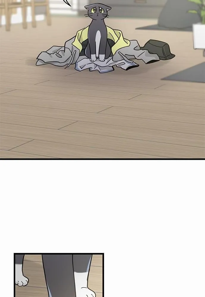 My One and Only Cat ตอนที่ 5054 My One and Only Cat ตอนที่ 5054