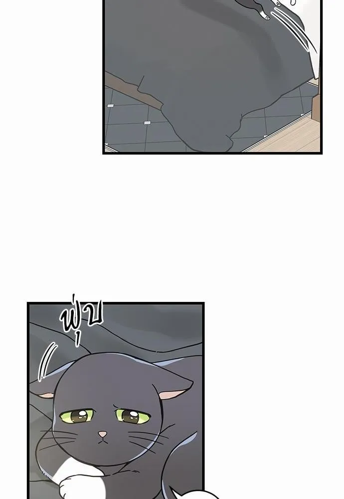 My One and Only Cat ตอนที่ 5056 My One and Only Cat ตอนที่ 5056