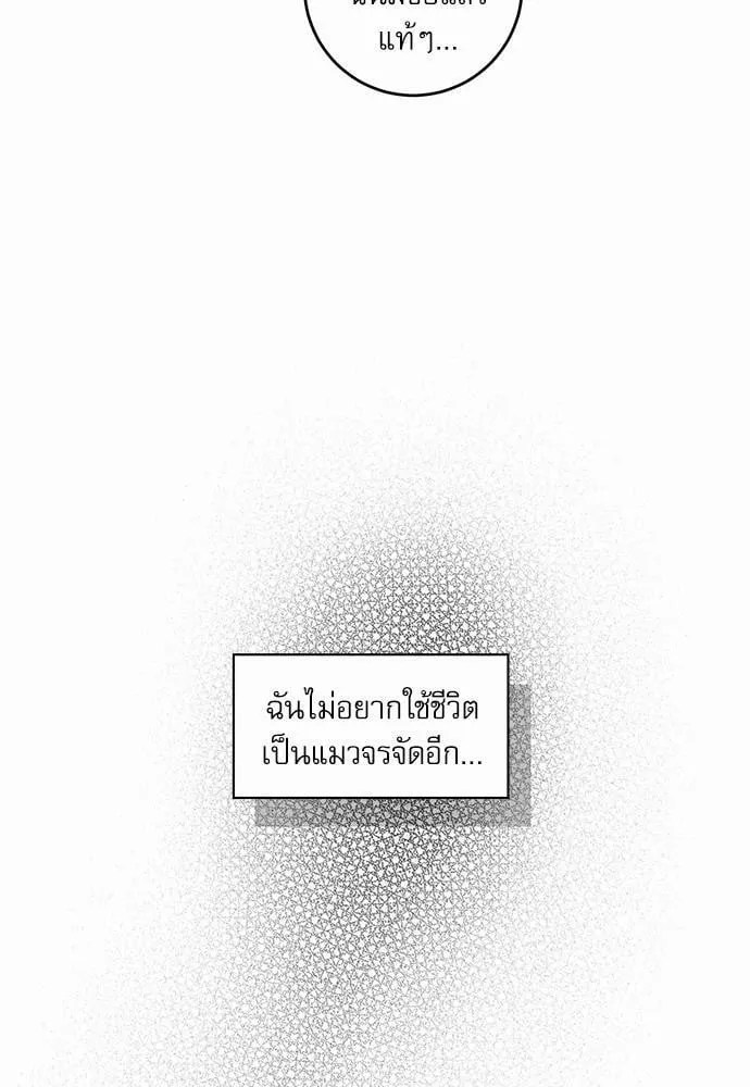 My One and Only Cat ตอนที่ 5058 My One and Only Cat ตอนที่ 5058