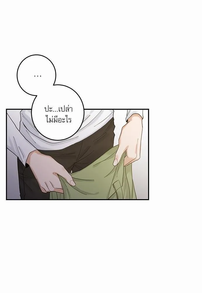 My One and Only Cat ตอนที่ 506 My One and Only Cat ตอนที่ 506