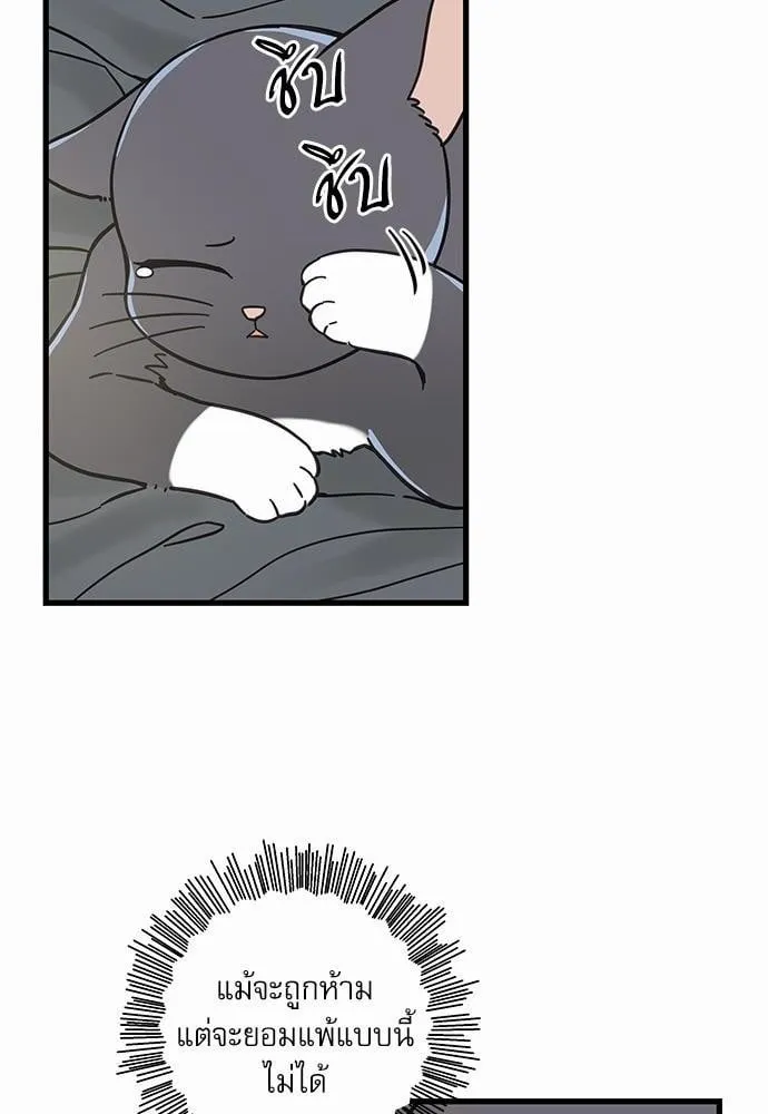 My One and Only Cat ตอนที่ 5060 My One and Only Cat ตอนที่ 5060